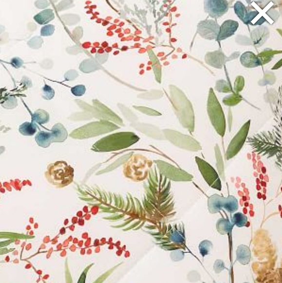 Pottery Barn Noel Botanical Percale King Shams - Picture 2 of 10